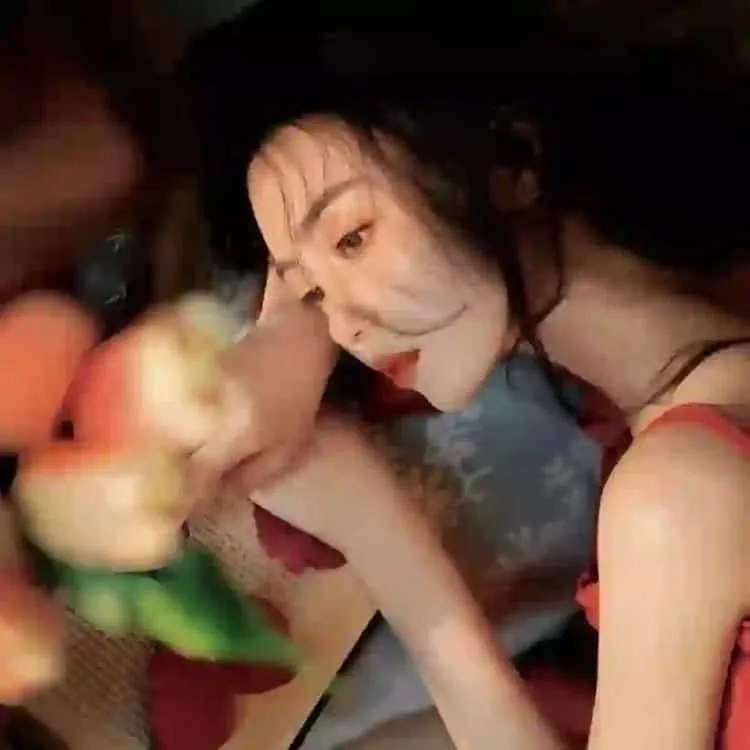 少年派2电视剧全集免费观看