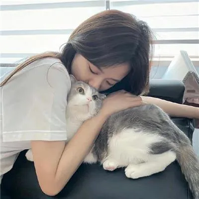 献鱼电视剧更新
